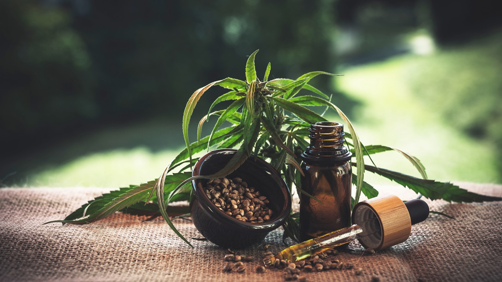 Comment bien choisir son cbd ?