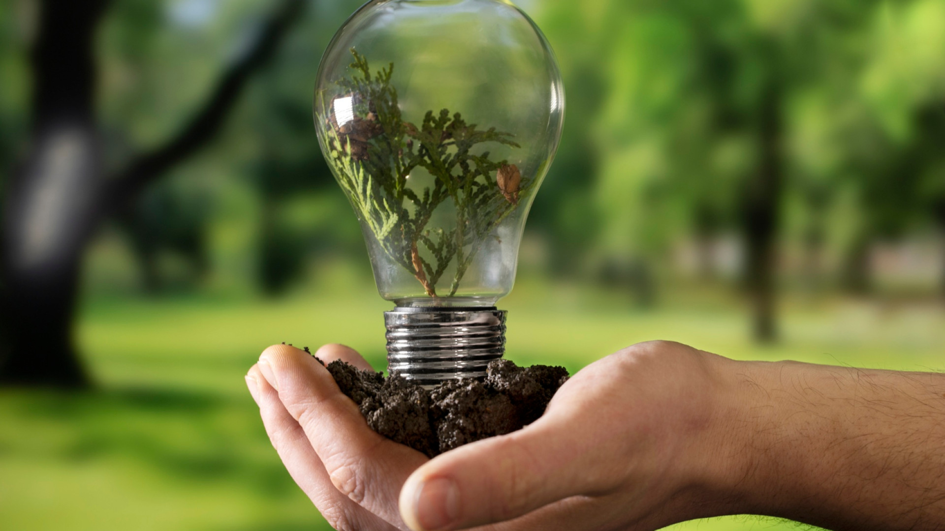 Pourquoi choisir un fournisseur d'électricité verte ? les avantages à connaître