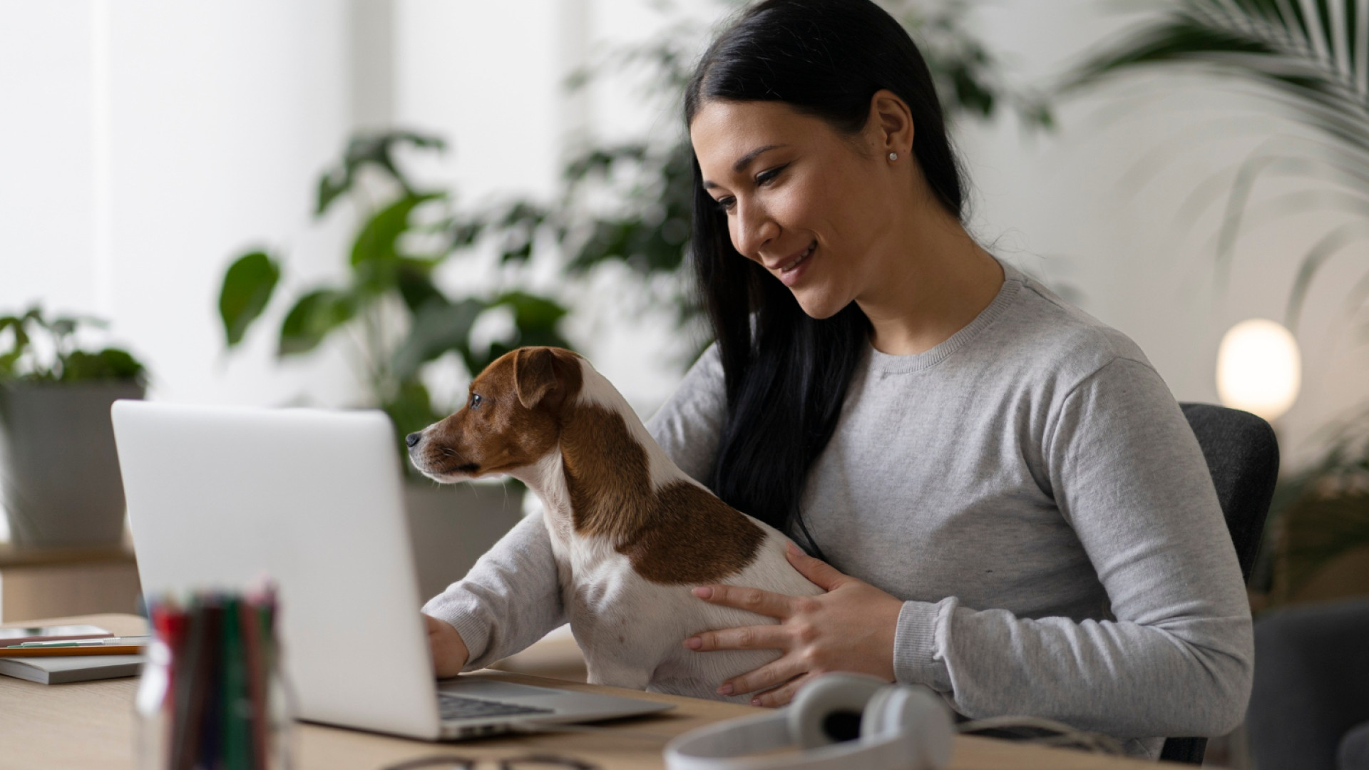 Pourquoi souscrire une assurance pour son animal de compagnie ?