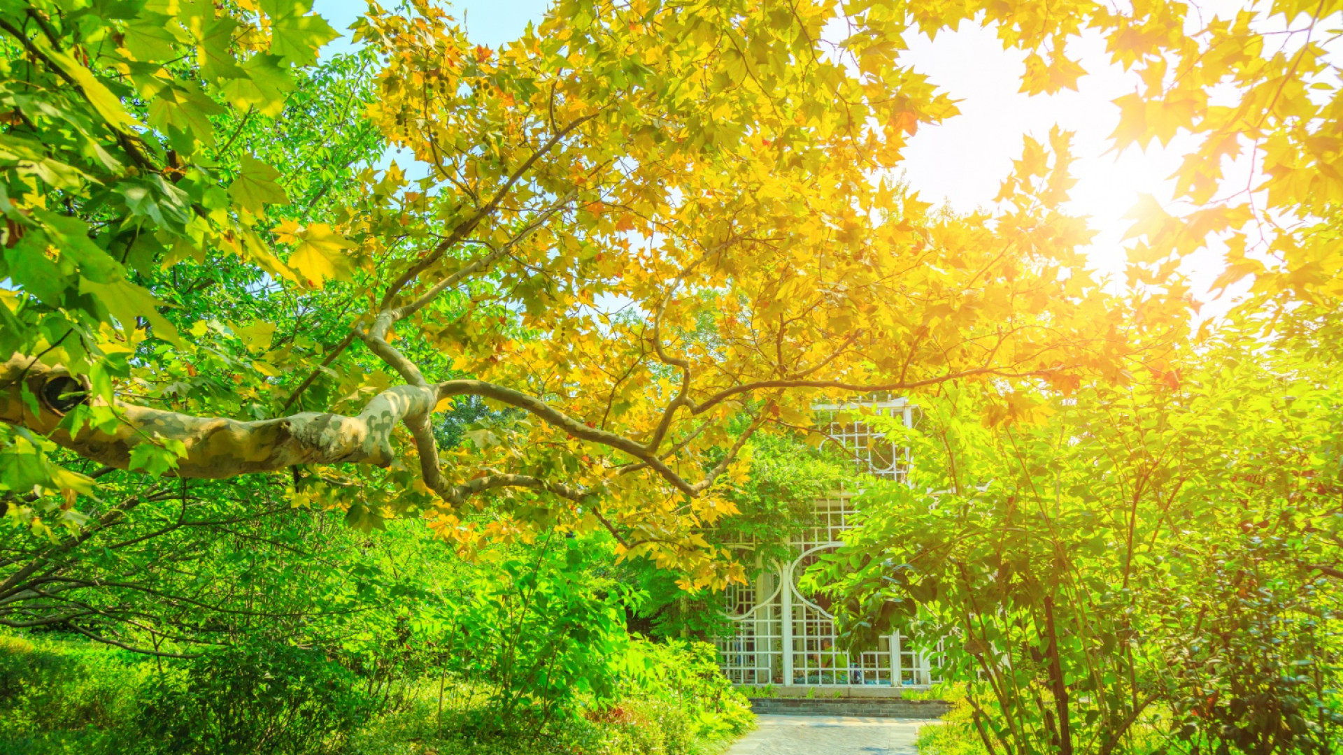 Comment choisir l’exposition de son jardin lors d’un achat immobilier ?