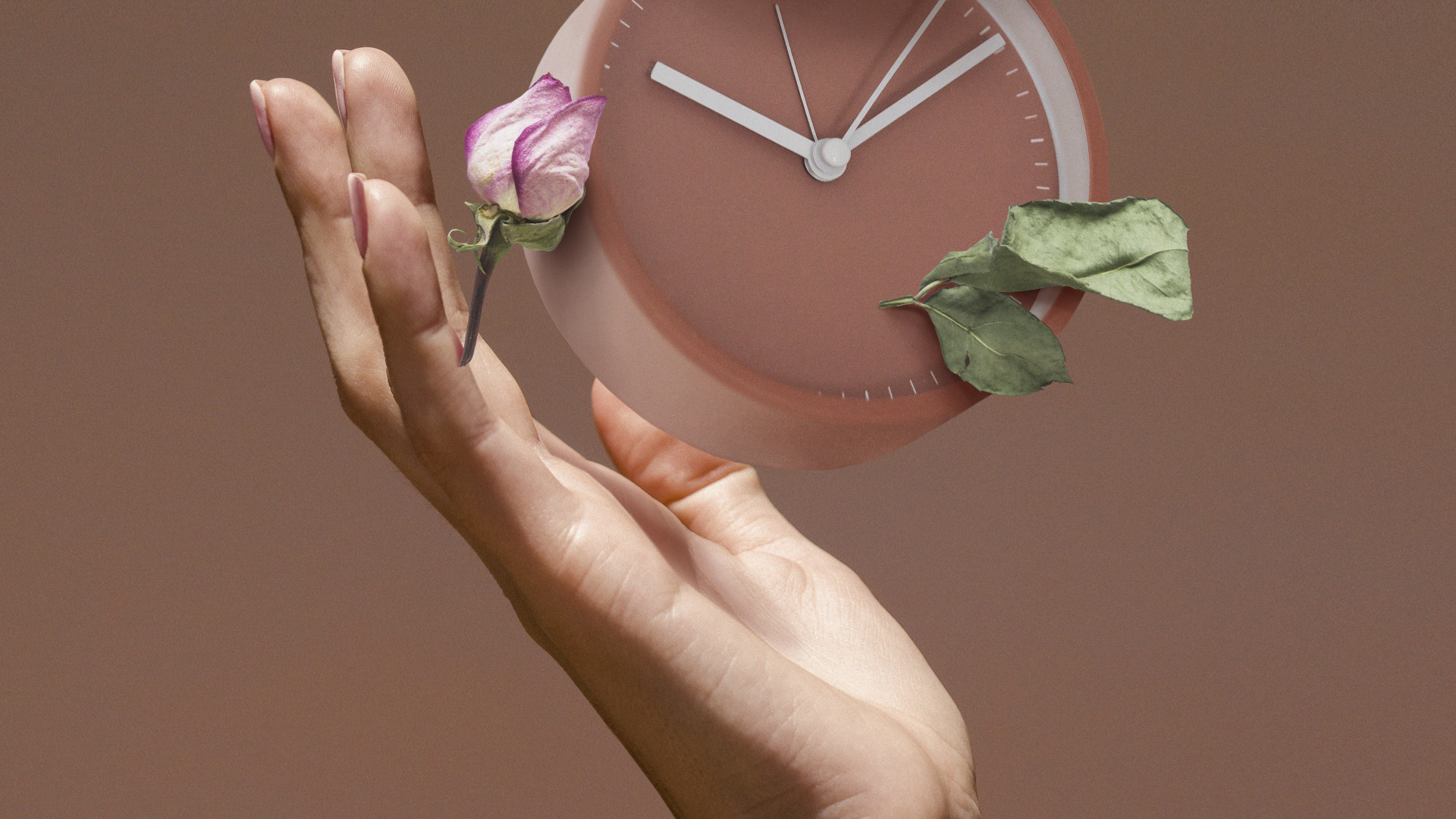 Mieux vivre la ménopause : hygiène de vie, alimentation et équilibre hormonal